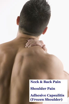 Neck Back Shoulder